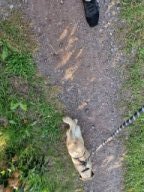 Ernie unterwegs &raquo; Ernie unterwegs